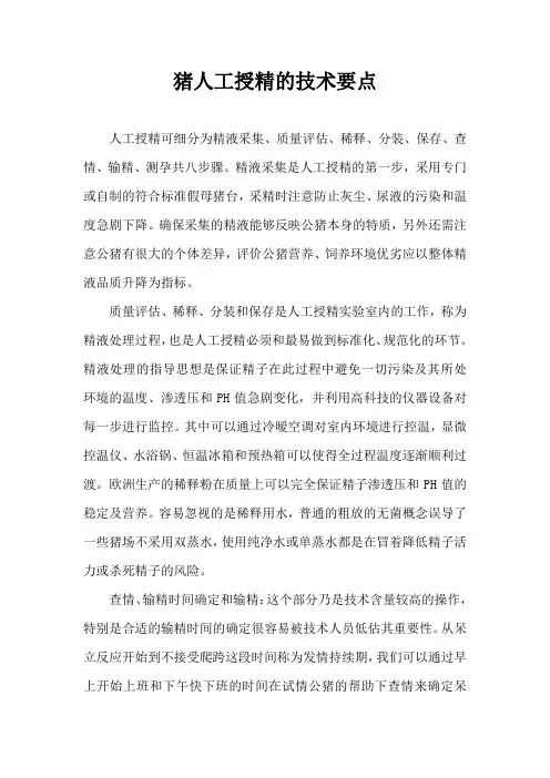 猪人工授精技术要点