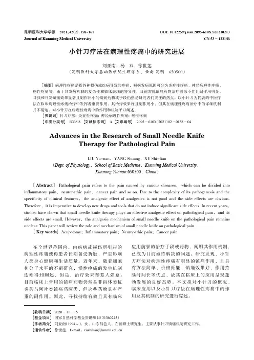 小针刀疗法在病理性疼痛中的研究进展