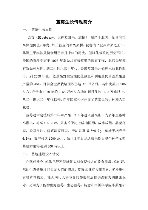 蓝莓生长情况简介