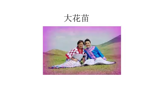 大花苗族服饰