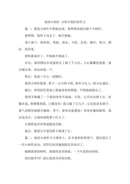 我的小制作 介绍小制作的作文
