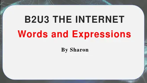 Unit3TheInternet词汇公开课课件-高中英语人教版