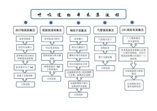 呼吸道标本采集流程