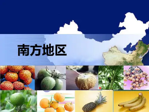 南方地区(区域特征)