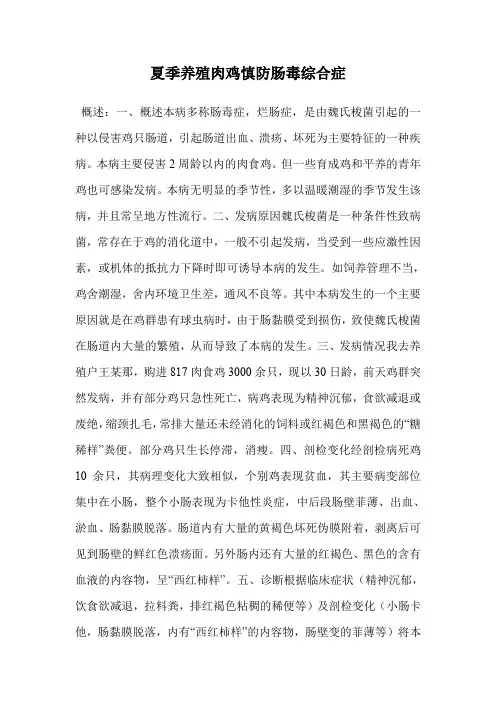 夏季养殖肉鸡慎防肠毒综合症.doc