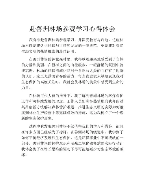 赴善洲林场参观学习心得体会