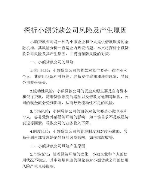 探析小额贷款公司风险及产生原因