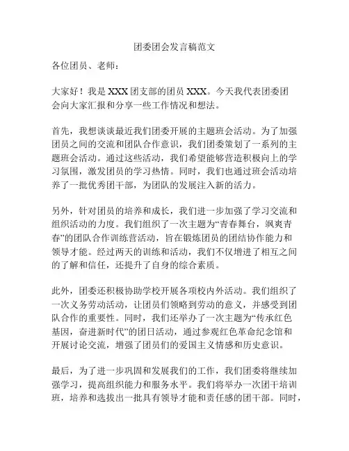 团委团会发言稿范文