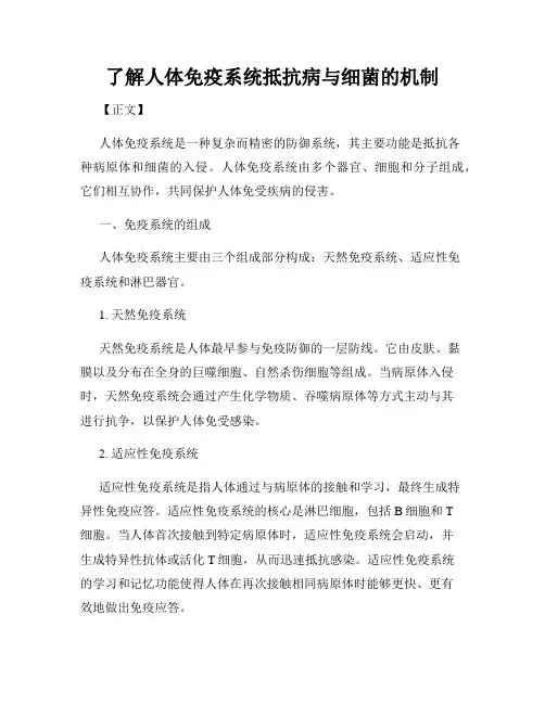 了解人体免疫系统抵抗病与细菌的机制