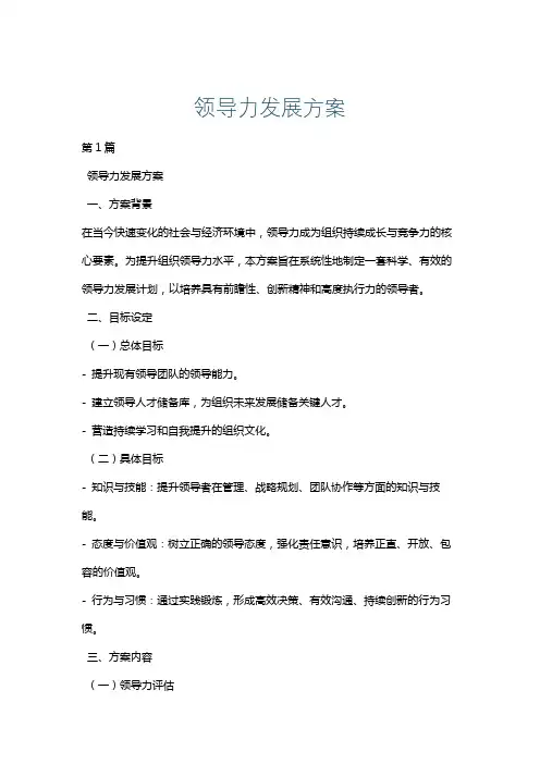 领导力发展方案