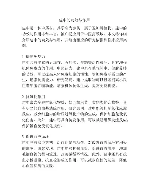 建中的功效与作用