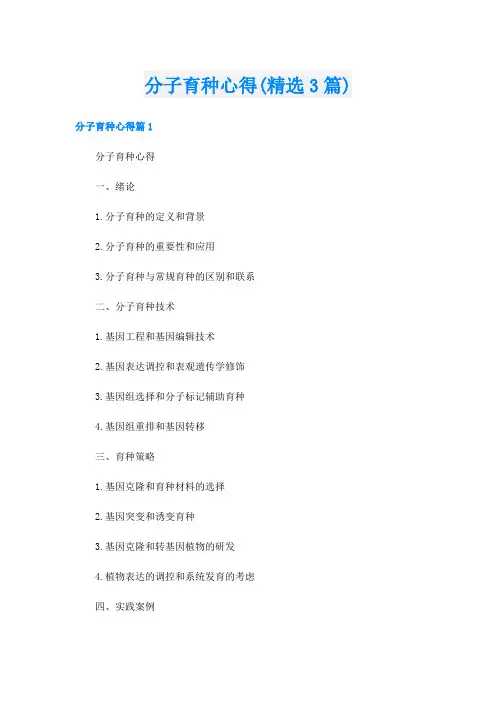 分子育种心得(精选3篇)