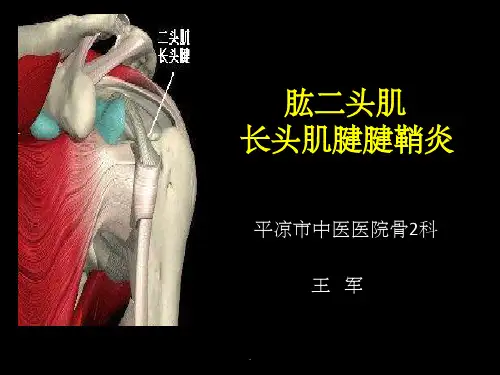肱二头肌长头肌腱腱鞘炎PPT课件