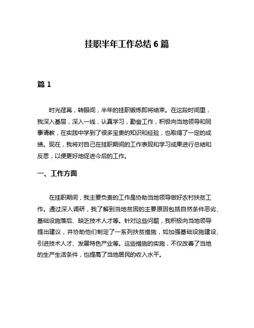 挂职半年工作总结6篇
