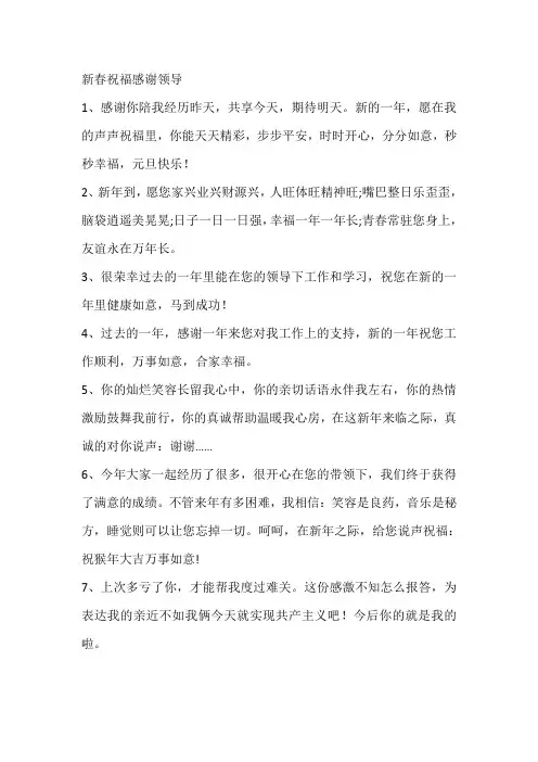 新春祝福感谢领导