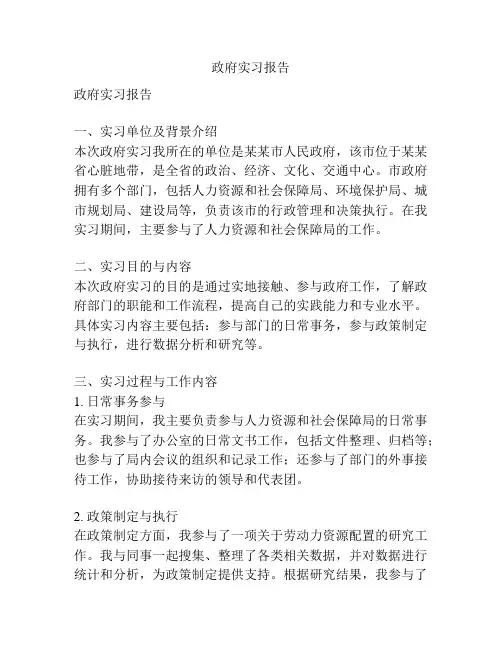 政府实习报告