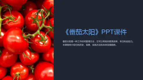 《番茄太阳》》课件