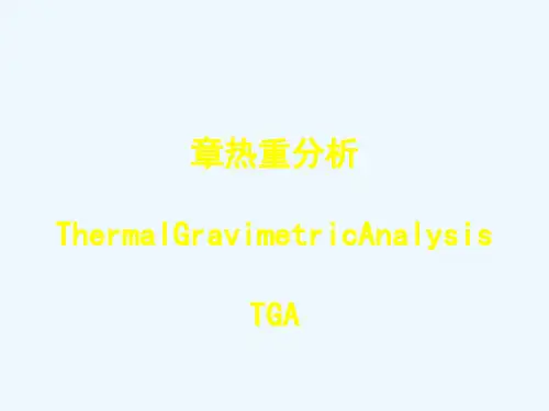 热重分析TG