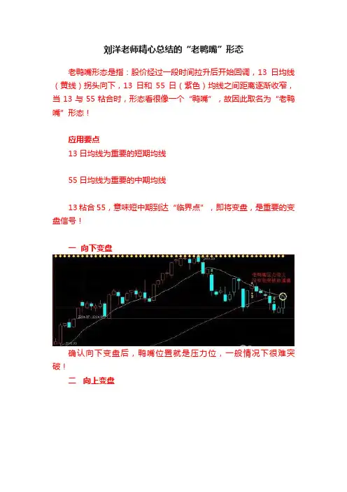 刘洋老师精心总结的“老鸭嘴”形态