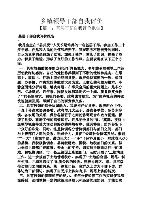 乡镇领导干部自我评价