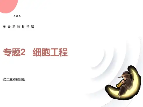 正式植物细胞工程的基本技术ppt-新人