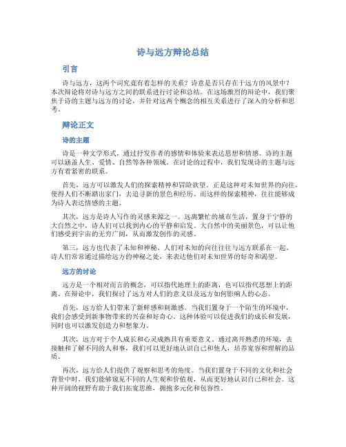 诗与远方辩论总结