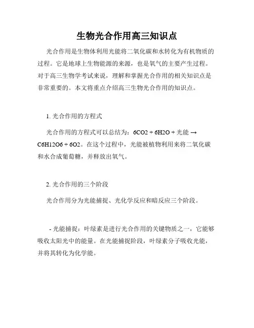 生物光合作用高三知识点