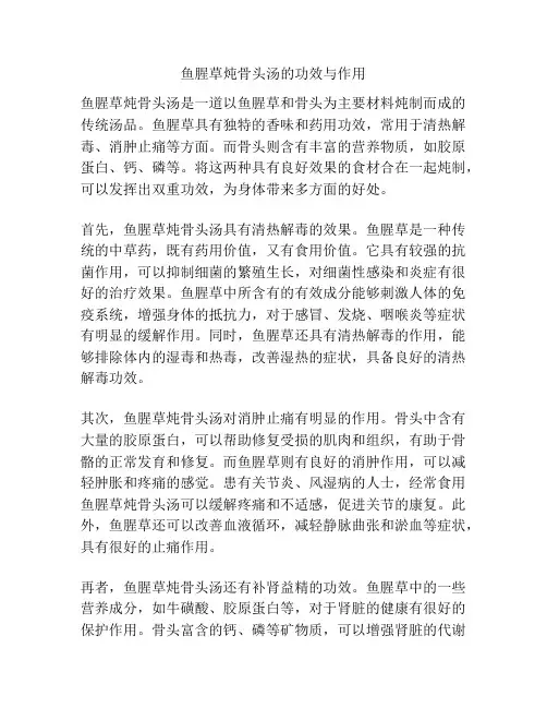 鱼腥草炖骨头汤的功效与作用