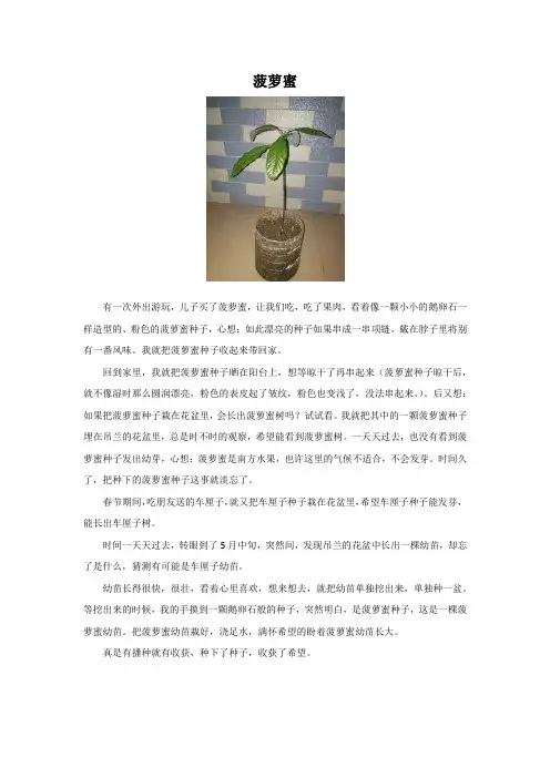 菠萝蜜