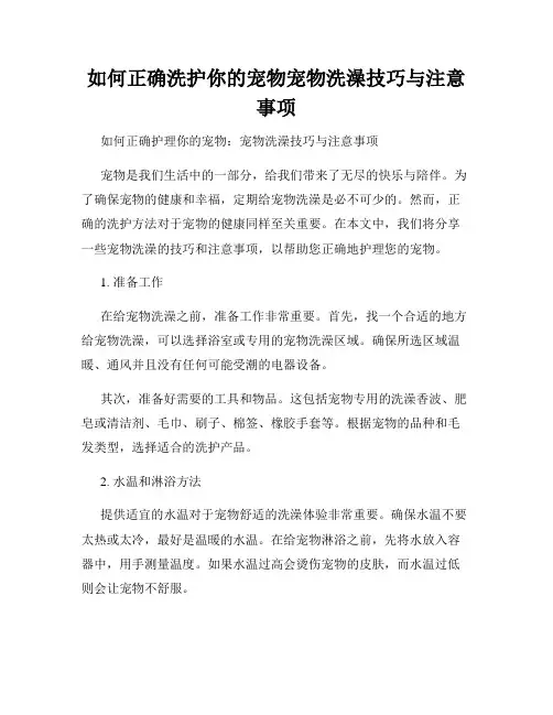 如何正确洗护你的宠物宠物洗澡技巧与注意事项