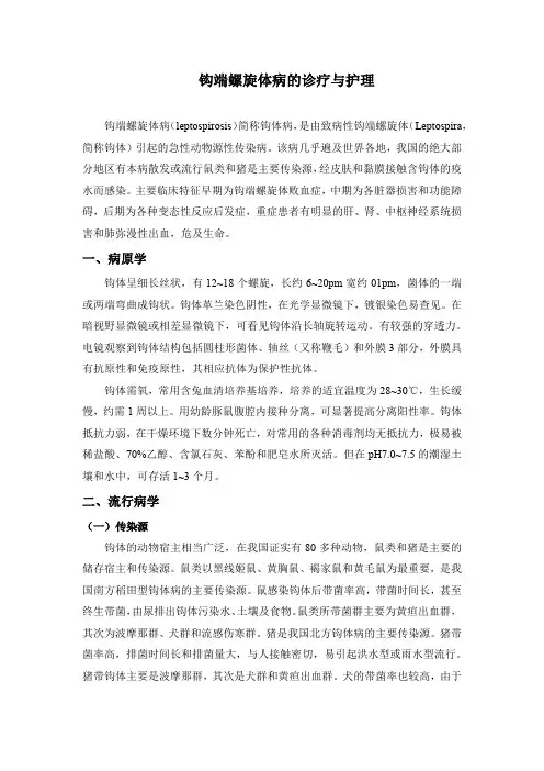 钩端螺旋体病的诊疗与护理