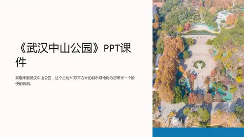 《武汉中山公园》课件