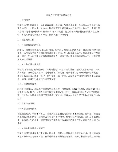 西藏农村开展工作情况汇报