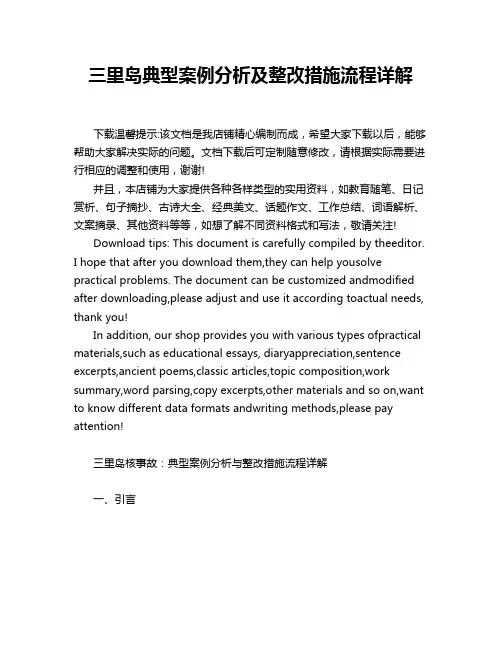 三里岛典型案例分析及整改措施流程详解