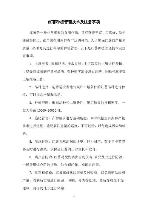 红薯种植管理技术及注意事项