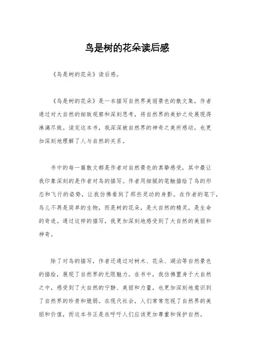 鸟是树的花朵读后感