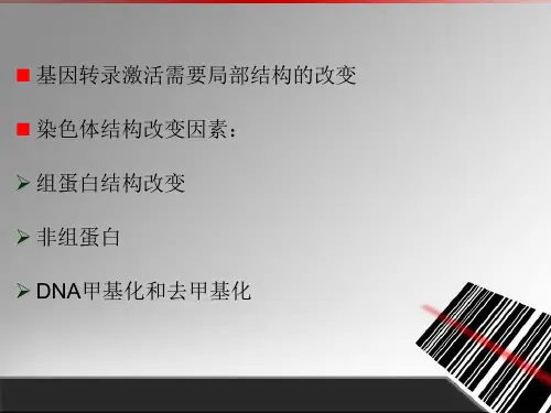 真核细胞染色体结构与基因表达