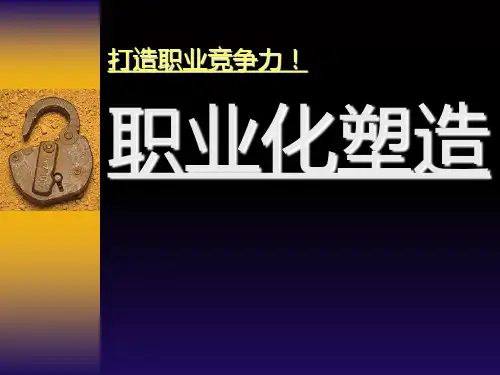 职业化塑造 ppt课件