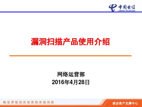 漏洞扫描产品使用说明