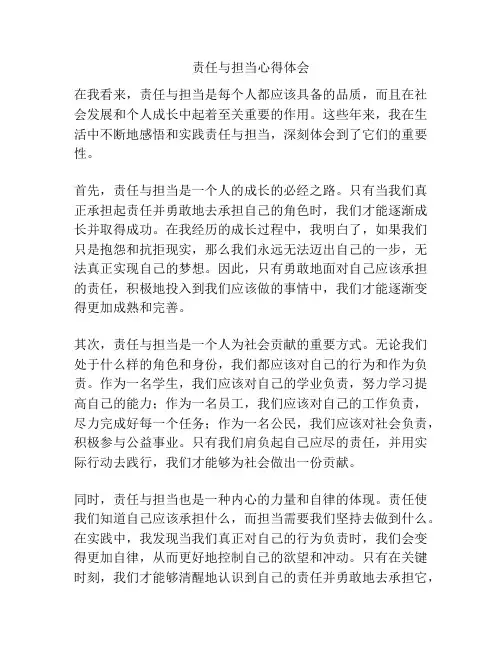 责任与担当心得体会