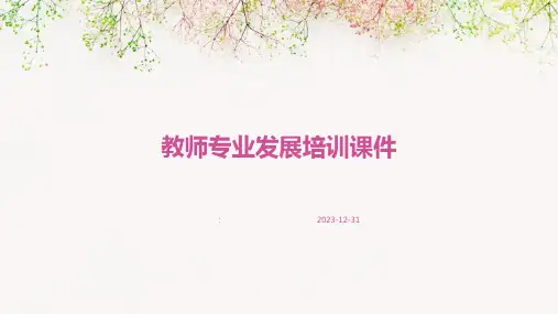 教师专业发展培训课件