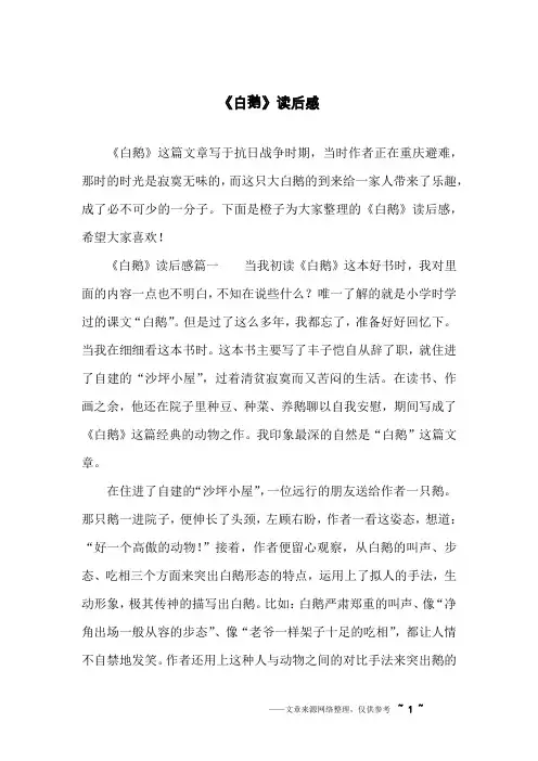 《白鹅》读后感