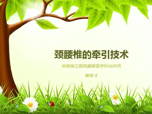 【精品PPT】牵引技术(源文档可编辑)