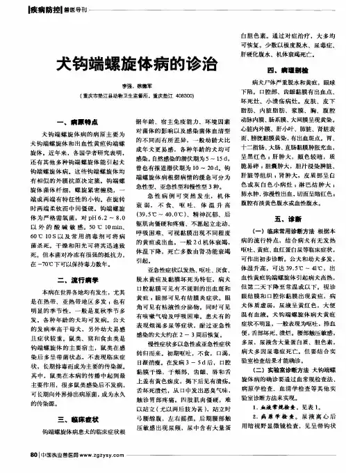 犬钩端螺旋体病的诊治