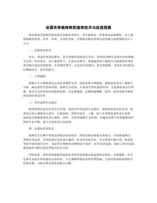 论国有林场桉树的造林技术与改进措施