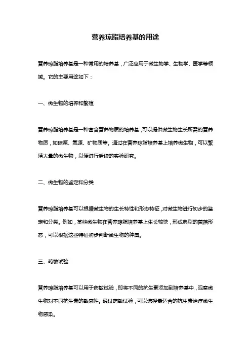 营养琼脂培养基的用途