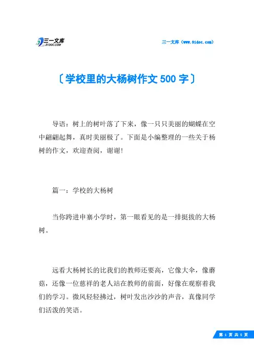 学校里的大杨树作文500字