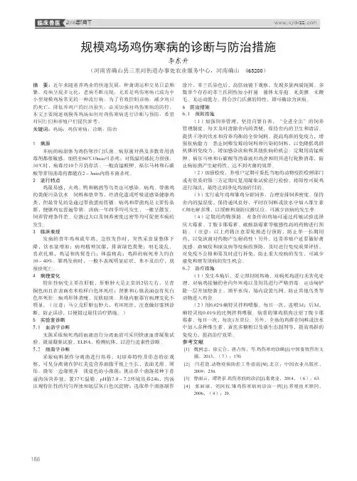 规模鸡场鸡伤寒病的诊断与防治措施