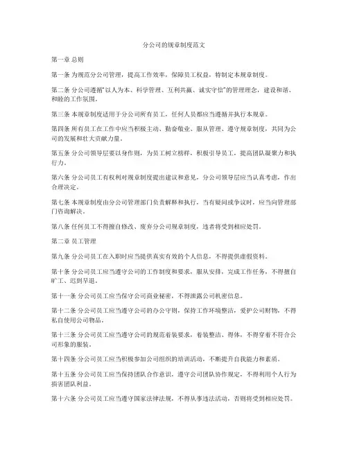 分公司的规章制度范文