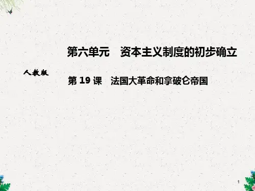 九年级人教版历史上册课件：第 19 课 法国大革命和拿破仑帝国 (共28张PPT)